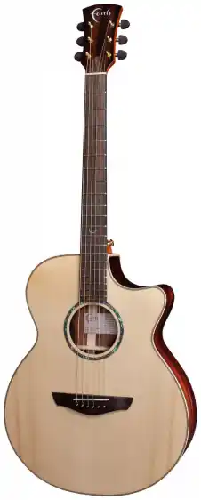 Tylko dziś Gitara Elektroakustyczna