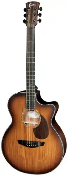 Dostępne od ręki Gitara Elektroakustyczna