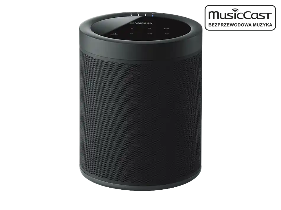 Ostatnie sztuki MusicCast 20