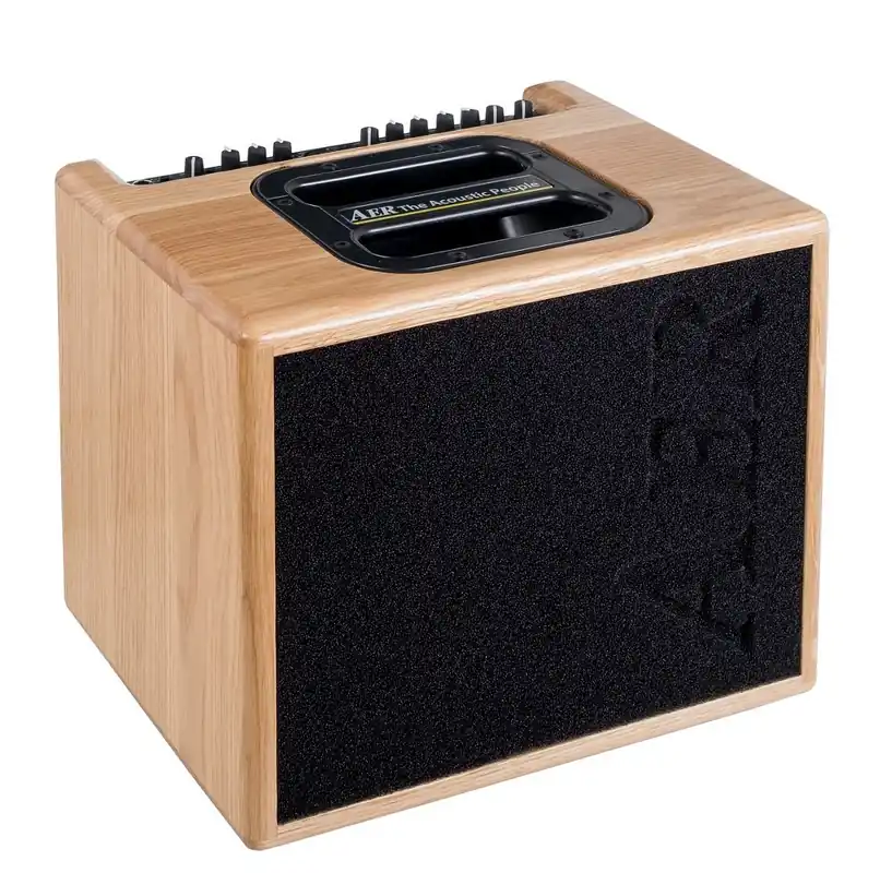 Premium AER COMPACT 60 IV ONT - Wzmacniacz 60W do instrumentów akustycznych, wersja IV (obudowa - lity dąb)