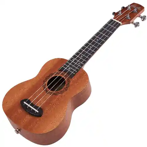 Zniżka Ukulele