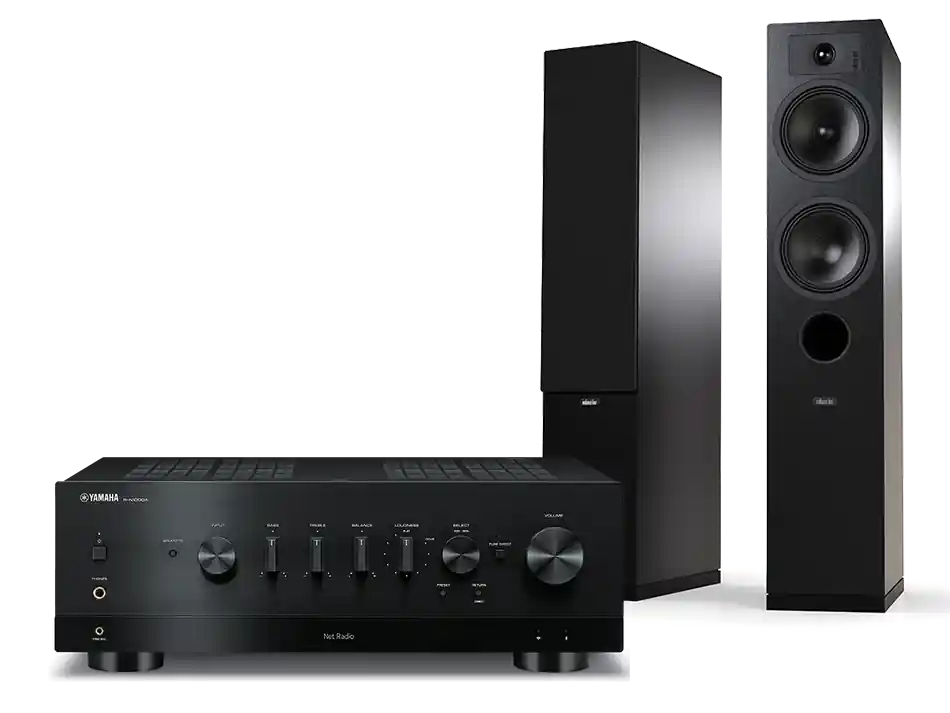 Popularny R-N1000A + Tesi 5