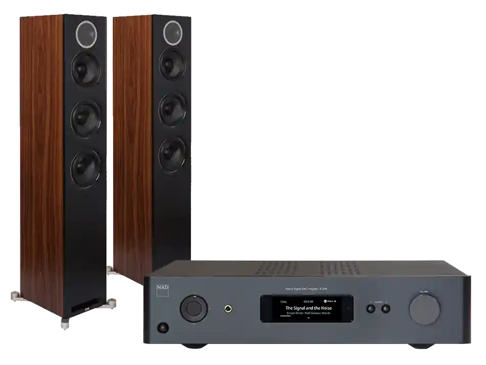 Super okazja C 379 + Debut Reference F5