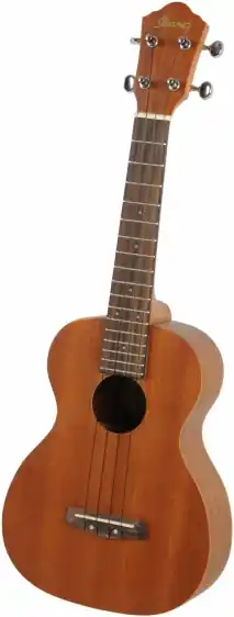 Hit cenowy Inne Instrumenty Strunowe