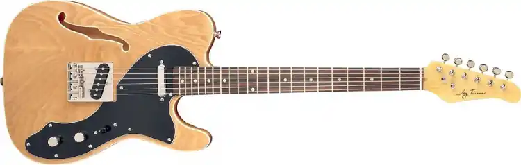 Ekspresowa dostawa Gitara Elektryczna