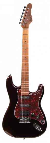 Ekspresowa dostawa Gitara Elektryczna