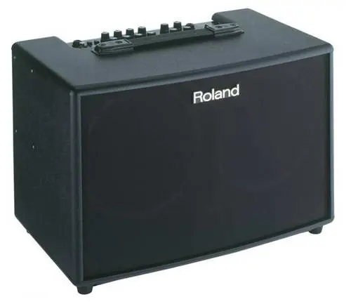 Ekspresowa dostawa Roland AC-90