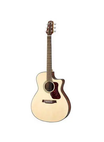 Premium WALDEN CS 500 CE (N)