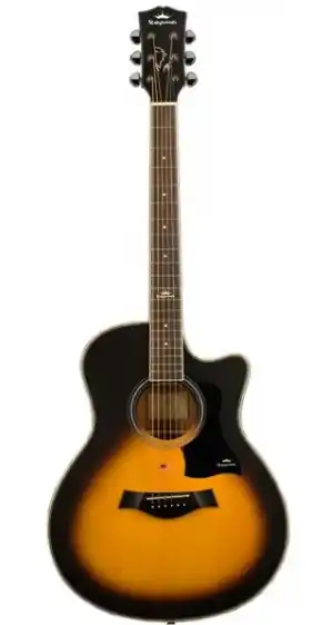 Gitara Akustyczna Ostatnia szansa
