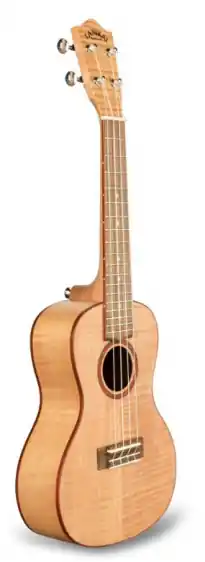 Inne Instrumenty Strunowe Oferta