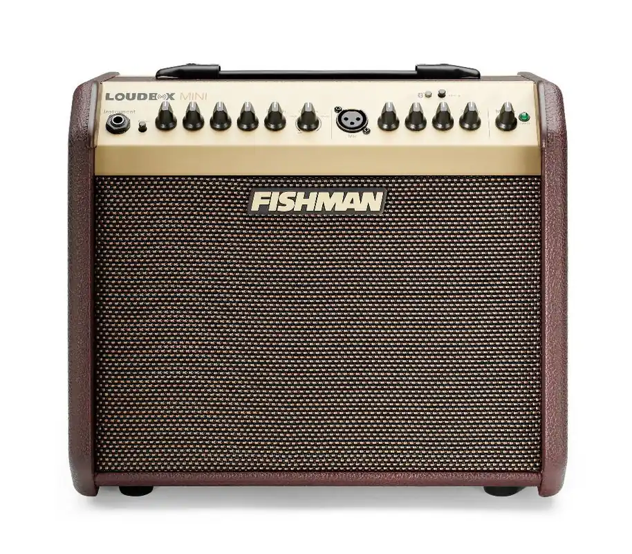 Ekspresowa dostawa Fishman LOUDBOX MINI PRO LBT-500 - wzmacniacz do gitary akustycznej