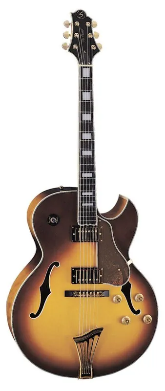 Gitara Elektryczna Wyjątkowa oferta