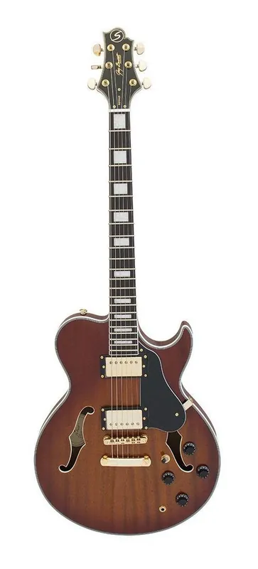 Gitara Elektryczna Oferta