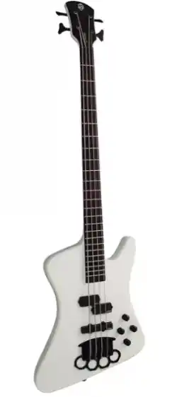 Zamów teraz Gitara Basowa