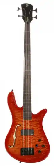 Gitara Basowa Wybór klientów