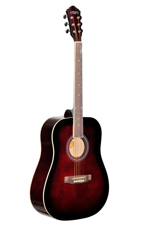 Szybka wysyłka EVER PLAY Countryman CA-100 WRDS - gitara akustyczna