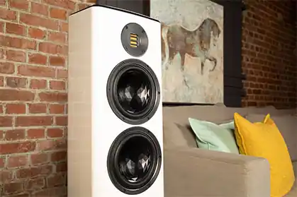 Ostatnia szansa ELAC VELA FS 408 - połączenie emocji i elegancji