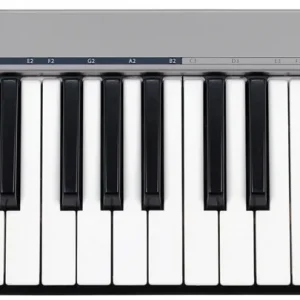 ACORN INSTRUMENTS MASTERKEY 25 USB Klawiatura sterujca Tani