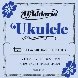 Bezpieczna płatność D‘Addario EJ87T