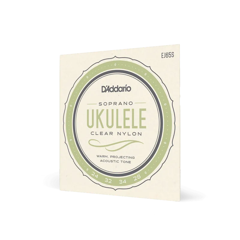 D‘Addario EJ65S Rabat