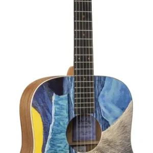 Ostatnia szansa Martin D Biosphere III - gitara akustyczna