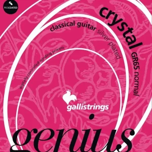 Szybka dostawa Galli Strings GR 65 Normal Tension struny do gitary klasycznej