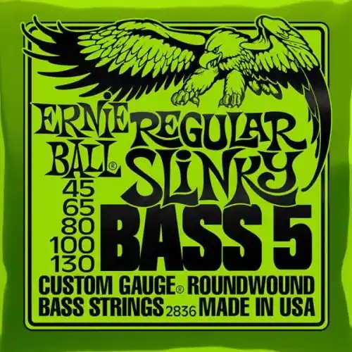 Ernie Ball 2836 Regular Slinky Bass 5 struny do gitary basowej Tylko do końca tygodnia