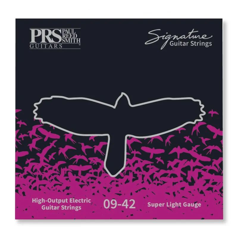 Tylko dziś PRS Signature Series 9-42 struny do gitary elektrycznej