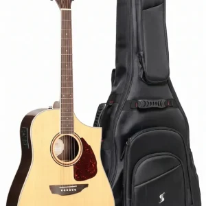 Samick SGW S-550D/N gitara elektroakustyczna Zestaw Popularny