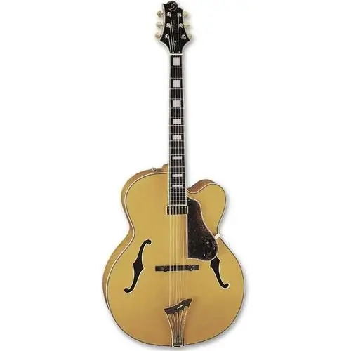 Samick JZ 4 AN gitara elektryczna Zamów teraz