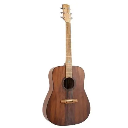 Randon RGI 10 VT gitara akustyczna Wybór klientów