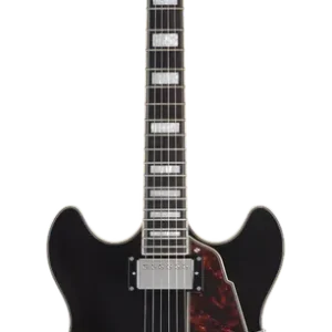 D‘angelico Premier DC Black Flake - gitara elektryczna Wyprzedaż