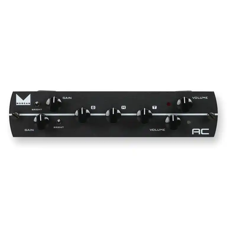 Oferta czasowa Synergy Amps Morgan AC - moduł przedwzmacniacza