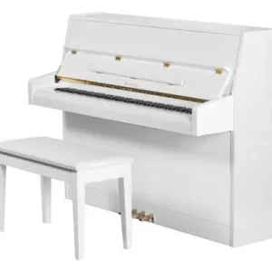 Cena promocyjna Samick JS-043 WH HP DREAM