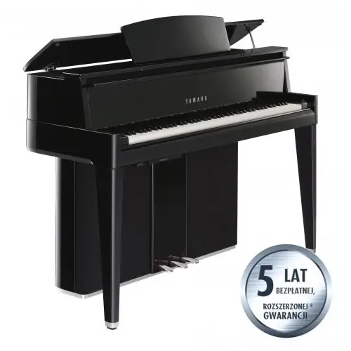 Yamaha N2 Bezpieczne zakupy